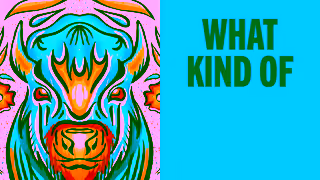 University of Manitoba UM Recruit24 SocialVideos 6s Brendan Sep16 Ad Commercial Brand Imagery Photoshoot 1