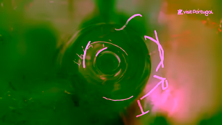 Visit Portugal What is Art Portugal is Art sneak peak Ad Commercial Brand Imagery Photoshoot 0