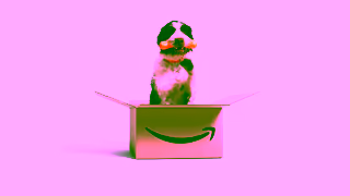 Amazon Amazon Daily Deals Ad Commercial Brand Imagery Photoshoot 2