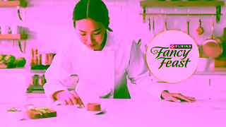 Purina Fancy Feast Wet Cat Food Chef Inspired Cat Adored Ad Commercial Brand Imagery Photoshoot 0