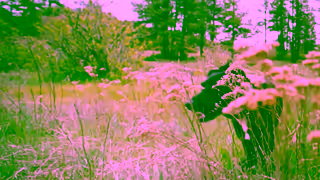 Halo Collar Halo without 3 TV Bethaney 16x9 v1 1 Ad Commercial Brand Imagery Photoshoot 0