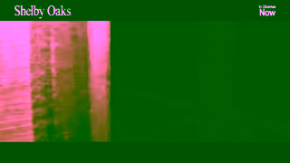 Altitude Films SHELBY OAKS IN CINEMAS NOW FOOTAGE Altitude Films Ad Commercial Brand Imagery Photoshoot 2