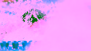 Arena Sport arena Human First 30 Ad Commercial Brand Imagery Photoshoot 1