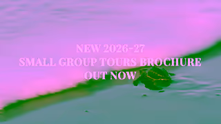 Cox & Kings Cox Kings Adventures for the Curious Small Group Tours 202627 Brochure Out Now Ad Commercial Brand Imagery Photoshoot 2