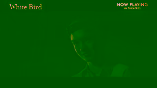 Cineplex Pictures WHITE BIRD Now Playing In Theatres Cineplex Pictures Ad Commercial Brand Imagery Photoshoot 0