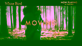 Cineplex Pictures WHITE BIRD Now Playing In Theatres Cineplex Pictures Ad Commercial Brand Imagery Photoshoot 1