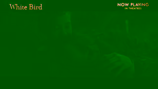 Cineplex Pictures WHITE BIRD Now Playing In Theatres Cineplex Pictures Ad Commercial Brand Imagery Photoshoot 2