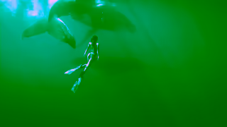 Go Dominican Republic Taste Samana Taste Dominican Republic Ad Commercial Brand Imagery Photoshoot 0