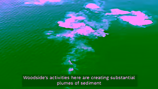 Greenpeace URGENT Woodside has started dredging the ocean floor Ad Commercial Brand Imagery Photoshoot 1