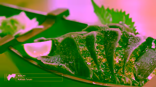 Visit Japan TOKYOSHIKOKUExperience Authentic Japanese Cuisine and Onsen Hot springs Ad Commercial Brand Imagery Photoshoot 1