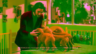 T-Mobile Q2 25 TMO Family Freedom 4 Up to 800 4 iPhones Puppies REV1 15 TMobile Ad Commercial Brand Imagery Photoshoot 1