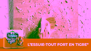 ROYALE Lessuietout Royale Tiger Towel FORT EN TIGRE mme humide Ad Commercial Brand Imagery Photoshoot 1