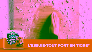 ROYALE Lessuietout Royale Tiger Towel FORT EN TIGRE mme humide Ad Commercial Brand Imagery Photoshoot 2