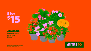 Mitre10 Outdoor Living Month Garden Mitre 10 Ad Commercial Brand Imagery Photoshoot 1