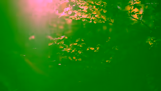 FREE PEOPLE This Is Free People Spring 2024 Ad Commercial Brand Imagery Photoshoot 1