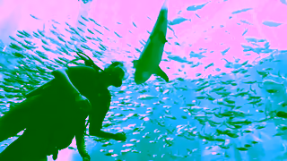 Emirates Fly better to a spectacular summer in Dubai Emirates Ad Commercial Brand Imagery Photoshoot 0