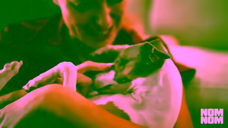 Nom Nom Nom Nom Were Here For Dog Parents Ad Commercial Brand Imagery Photoshoot 2