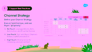 Salesforce Good to Great 7 Digital Support Best Practices Ad Commercial Brand Imagery Photoshoot 2