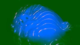 Estee Lauder The Nighttime Skincare Experts Este Lauder Ad Commercial Brand Imagery Photoshoot 1