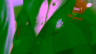 Swanndri Clothing The Wandle Burial Part 3 Ad Commercial Brand Imagery Photoshoot 0