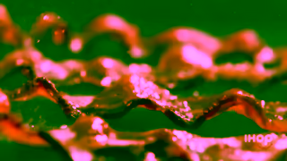 IHOP Video Ad Ad Commercial Brand Imagery Photoshoot 1