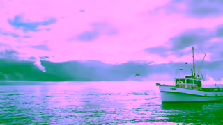 John West John West Salmon Fillet Ad Commercial Brand Imagery Photoshoot 0