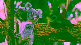 House Of Travel Disney Magic At Sea Returns to New Zealand House of Travel Ad Commercial Brand Imagery Photoshoot 0