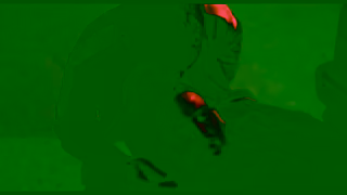 Curzon Film HOUNDS In Cinemas 14 June Ad Commercial Brand Imagery Photoshoot 0