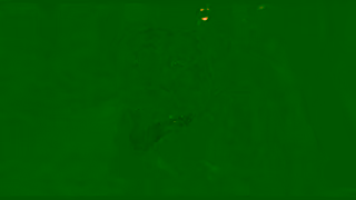 Curzon Film HOUNDS In Cinemas 14 June Ad Commercial Brand Imagery Photoshoot 2