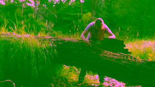 Raid Raid Everyone deserves protection Ad Commercial Brand Imagery Photoshoot 0