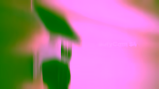 Eufy eufyCam S4 4K 360 Home Protection Ad Commercial Brand Imagery Photoshoot 0