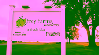 NetSuite Sarah from Frey Farms uses NetSuite to gain visibility into her business Ad Commercial Brand Imagery Photoshoot 0