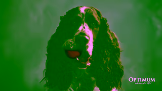 Optimum Pet OPTIMUM Lucky You Do Adult Dog 16x9 15s 2025 Ad Commercial Brand Imagery Photoshoot 1