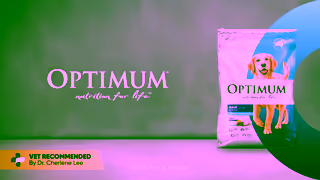 Optimum Pet OPTIMUM Lucky You Do Adult Dog 16x9 15s 2025 Ad Commercial Brand Imagery Photoshoot 2