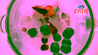 Pauls Dairy Pauls Zymil Melissa Doyle 6s Tastes Amazing Ad Commercial Brand Imagery Photoshoot 1