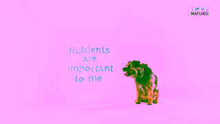 NATURO Pet Foods Dogs dont care what they eat Naturo do Ad Commercial Brand Imagery Photoshoot 0