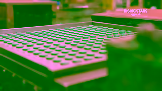 Amazon Ads Honeysticks Rising Stars by Amazon Ads Ad Commercial Brand Imagery Photoshoot 0