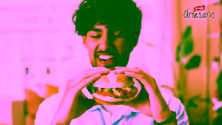 Sara Lee Bread Sara Lee Artesano Buns Chicken Sandwich Ad Commercial Brand Imagery Photoshoot 2