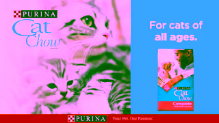 Purina Purina Cat Chow for Cats of All Ages Ad Commercial Brand Imagery Photoshoot 0