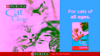 Purina Purina Cat Chow for Cats of All Ages Ad Commercial Brand Imagery Photoshoot 1