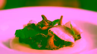 Visit Quebec City Qubec City in tune with your taste buds Ad Commercial Brand Imagery Photoshoot 1