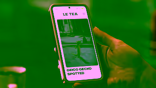 Geico Video Ad Ad Commercial Brand Imagery Photoshoot 0