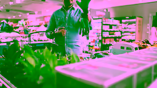 Aldi ALDI Australia ALDICORE Dinner Ad Commercial Brand Imagery Photoshoot 0