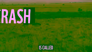 WWF Adopt An Animal With WWF Ad Commercial Brand Imagery Photoshoot 1