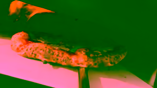 Gozney Share A Slice This Holiday Ad Commercial Brand Imagery Photoshoot 1