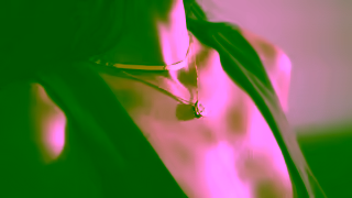 Brilliant Earth Fine Jewelry Youll Wear Forever Ad Commercial Brand Imagery Photoshoot 1