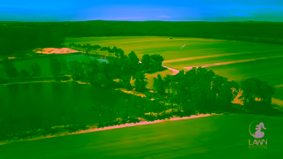 Lawn Solutions Introducing Australias Newest Zoysia Grass Zoysia Australis Ad Commercial Brand Imagery Photoshoot 1