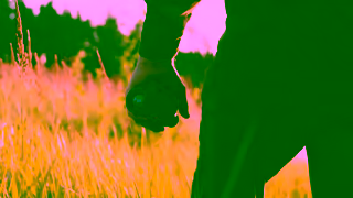 Pulsar Vision Axion XG30 XG35 Compact Pocket sized monoculars Ad Commercial Brand Imagery Photoshoot 2