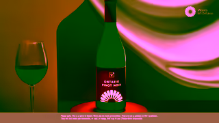 Wines of Ontario WMAO PTMY Pinot Noir 10s 16x9 EN Audio REV WEB Ad Commercial Brand Imagery Photoshoot 2