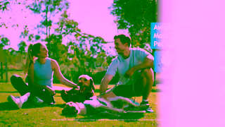 RSPCA RSPCA Pet Insurance Running Couple TVC 30 secs Ad Commercial Brand Imagery Photoshoot 2